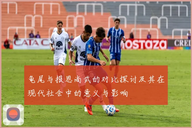 龟尾与报恩尚武的对比探讨及其在现代社会中的意义与影响