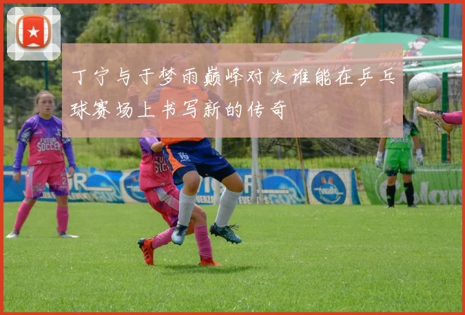 丁宁与于梦雨巅峰对决谁能在乒乓球赛场上书写新的传奇