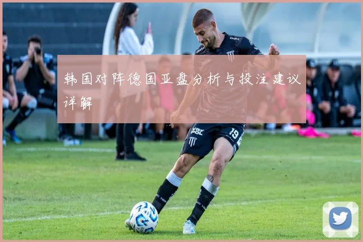 韩国对阵德国亚盘分析与投注建议详解
